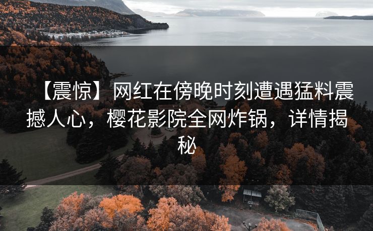 【震惊】网红在傍晚时刻遭遇猛料震撼人心，樱花影院全网炸锅，详情揭秘
